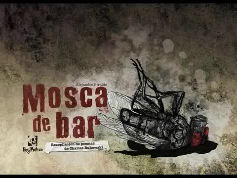 2 Minutos - Mosca de bar