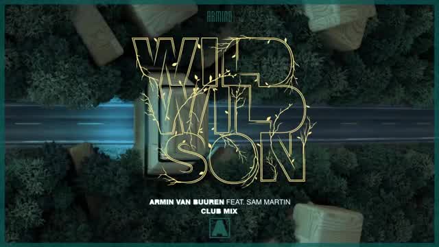 Armin van Buuren - Wild Wild Son