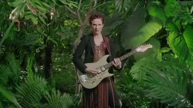 Claire Diterzi - Le Roi des forêts