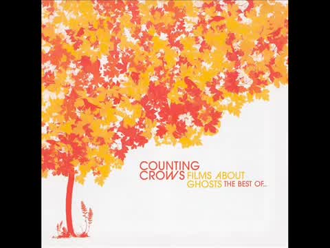 Counting Crows - Anyone but You