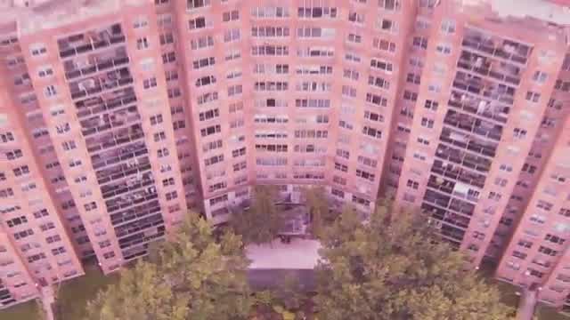 Despot - House of Bricks