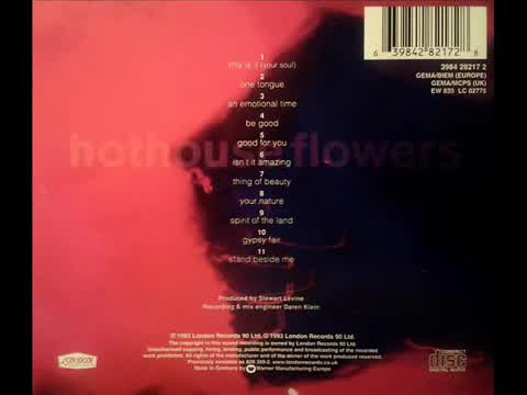 Hothouse Flowers - Stand Beside Me