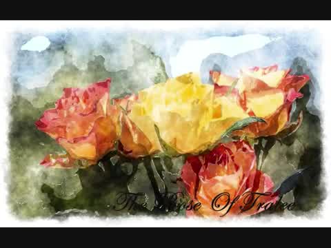 John McDermott - The Rose of Tralee
