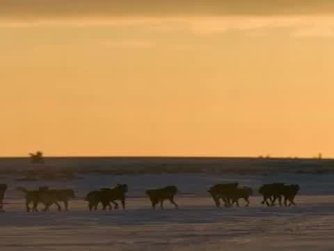 Johnny Horton - North to Alaska: “North to Alaska”