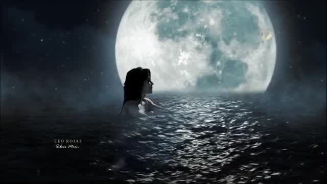 Leo Rojas - Silver Moon