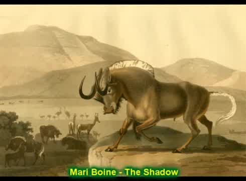 Mari Boine - Suoivva / The Shadow