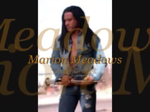 Marion Meadows - Sweet Grapes