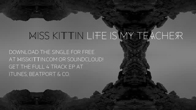 Miss Kittin - Life Is My Teacher