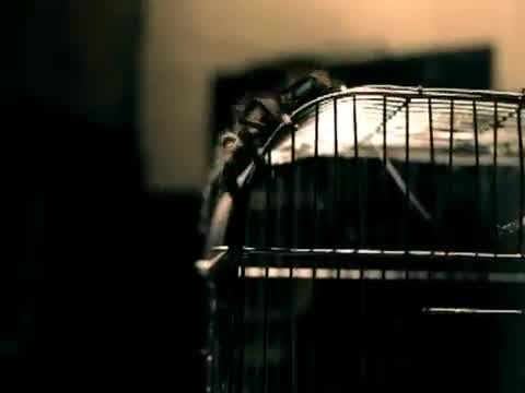 Mystikal - Tarantula