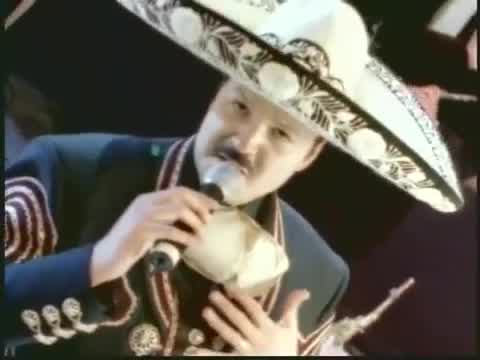 Pepe Aguilar - Por una mujer bonita