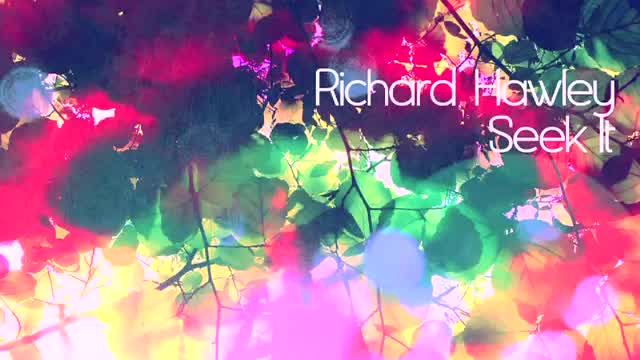 Richard Hawley - Seek It