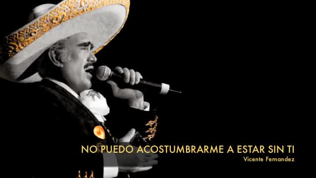 Vicente Fernández - No puedo acostumbrarme a estar sin ti