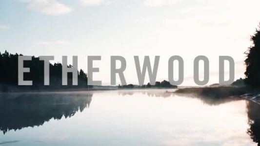 Etherwood - Three Eagles