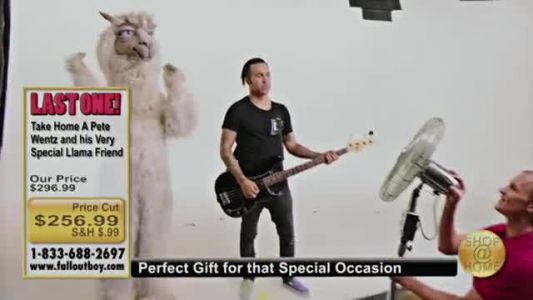 Fall Out Boy - Wilson (Expensive Mistakes)