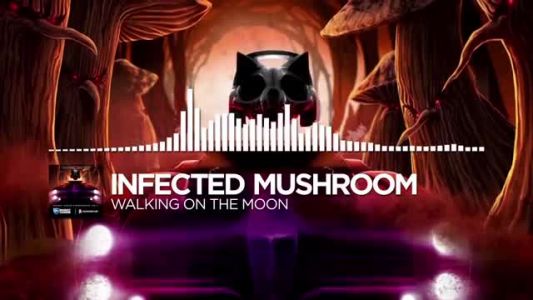 Infected Mushroom - Walking on the Moon
