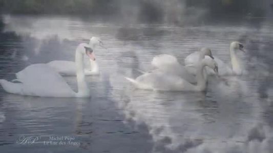 Michel Pépé - Le lac des anges